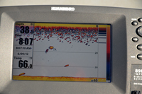 Walleye Fishing Humminbird